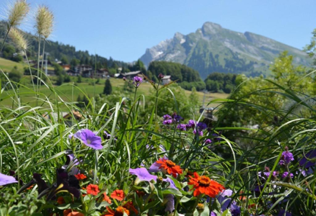 Hotel La Montagne La Clusaz Ngoại thất bức ảnh